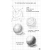 Книга "Творческий курс по рисованию. Рисуем животных!", Мистер Грей - 4