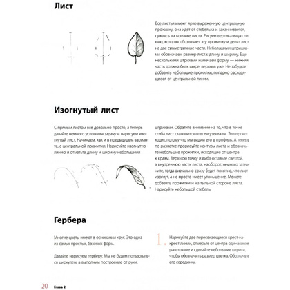 Книга "Пишем пионы, розы и другие цветы акварелью. Пошаговые мастер-классы по живописи", Татьяна Лаптева - 5