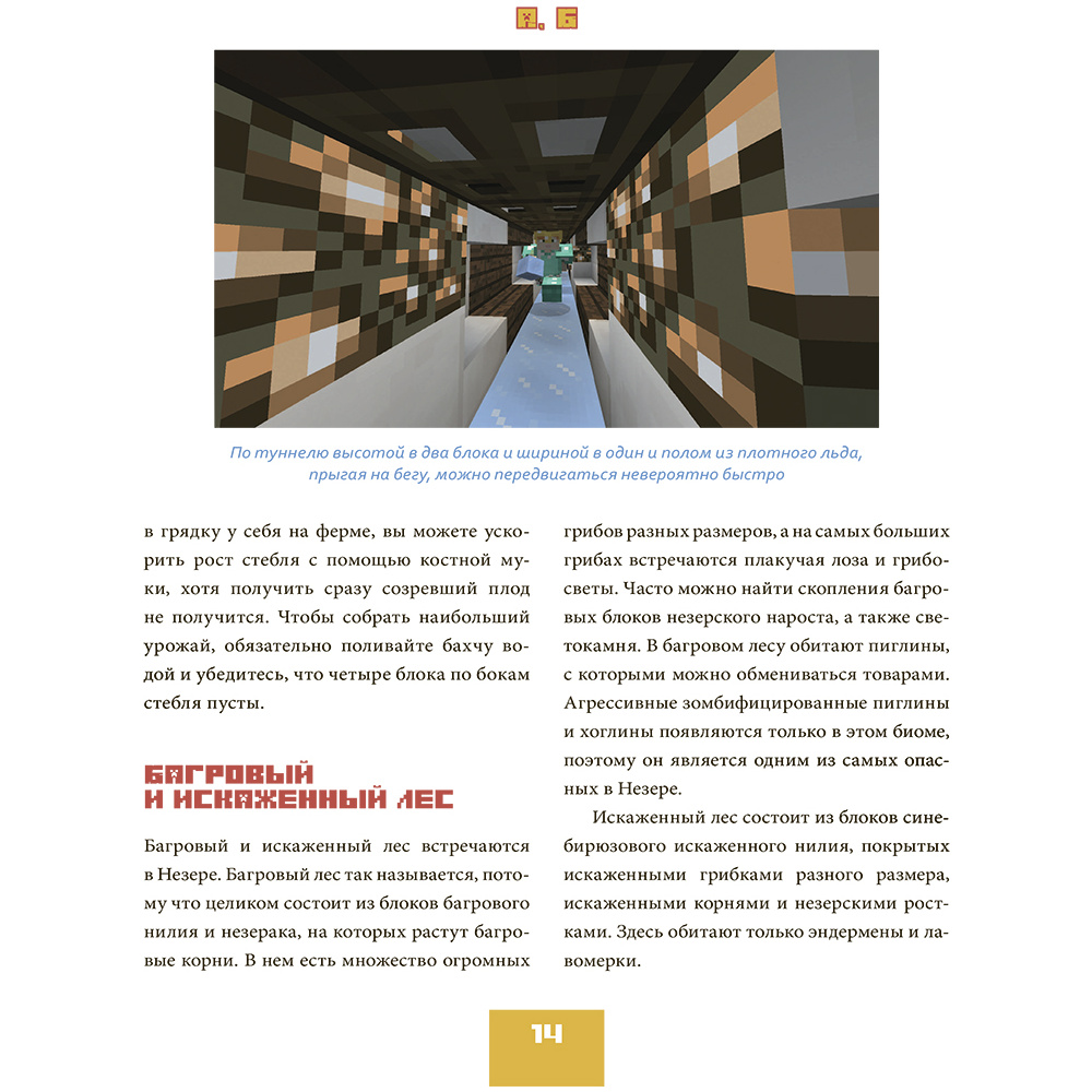 Книга "Minecraft от А до Я. Неофициальная иллюстрированная энциклопедия", Меган Миллер - 9