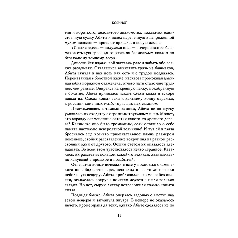 Книга "Косиног: История о колдовстве", Джеральд Бром - 12