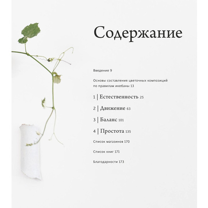 Книга "Икебана. Неповторимая естественность", Аманда Лу, Иванка Матсуба - 6