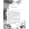 Книга "Голос монстра", Патрик Несс - 8