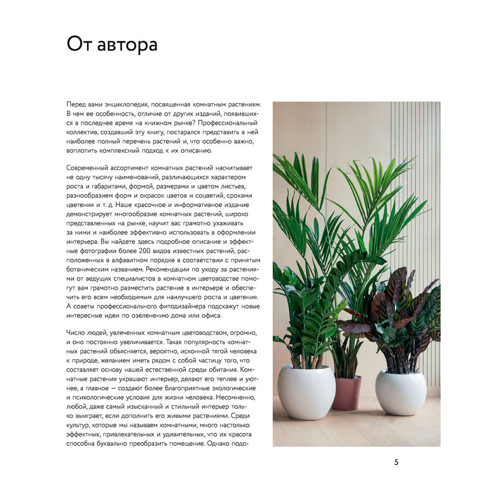 Книга "Зеленый оазис. Комнатные растения от А до Я", Березкина И. - 2