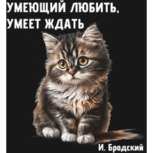 Футболка оверсайз унисекс "Умеющий любить, умеет ждать. Бродский", M-L, черный