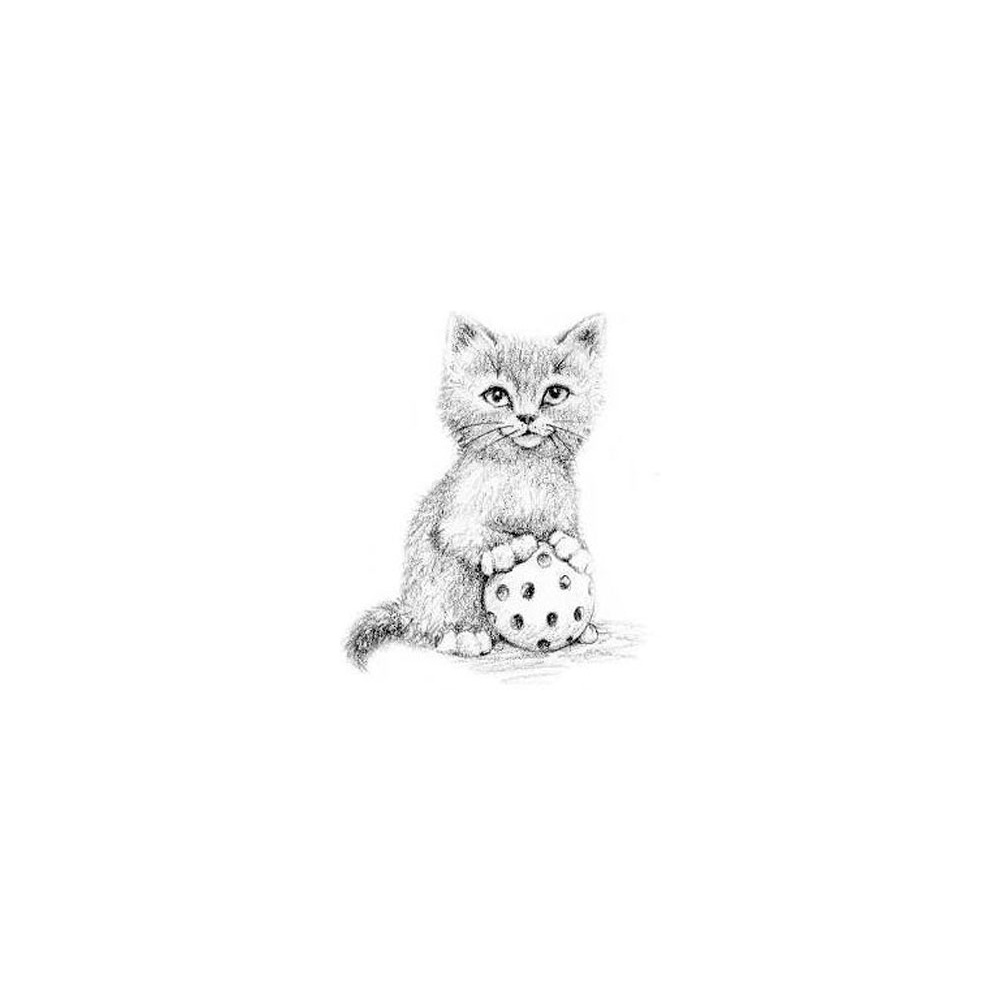 Книга на английском языке "Котёнок Одуванчик, или Игра в прятки = Smudge the Stolen Kitten", Вебб Х - 5