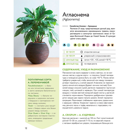 Книга "Зеленый оазис. Комнатные растения от А до Я", Березкина И. - 9