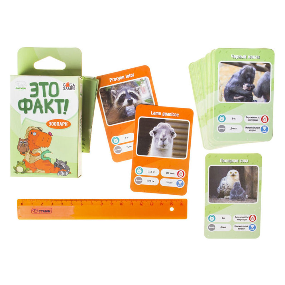 Игра настольная "Это факт! Зоопарк" - 2