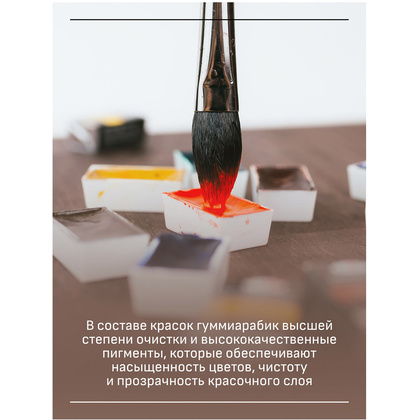 Краски акварельные Гамма "Старый Мастер", 229 хинакридон маджента, кювета - 4