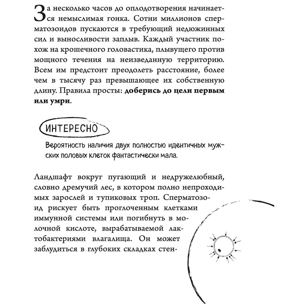  Книга "280 дней до вашего рождения. Репортаж о том, что вы забыли, находясь в эпицентре событий", Вестре К. - 8