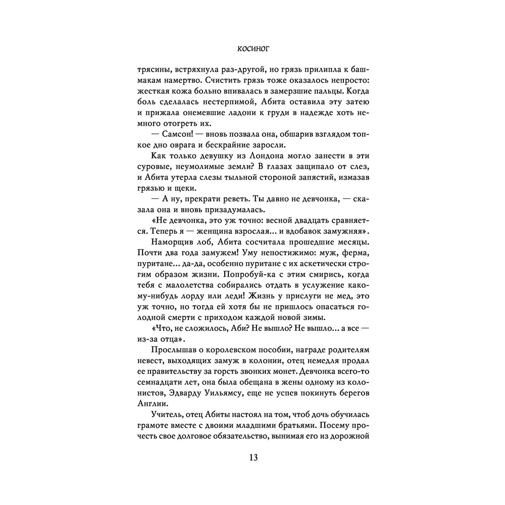 Книга "Косиног: История о колдовстве", Джеральд Бром - 10