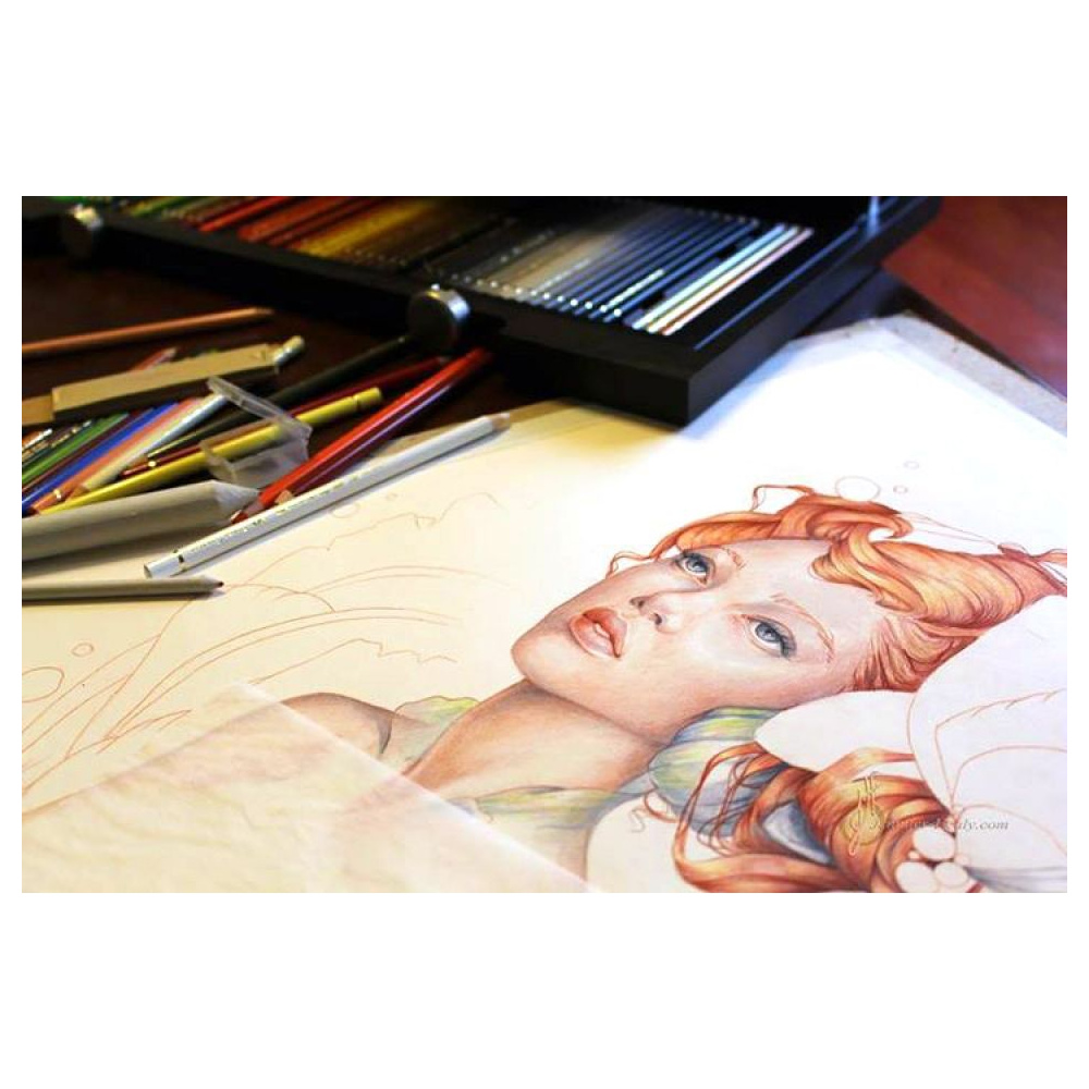 Набор цветных карандашей "Polychromos", 60 шт., в металлической упаковке - 3