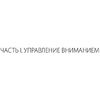 Книга "Управление вниманием", Александр Король - 5