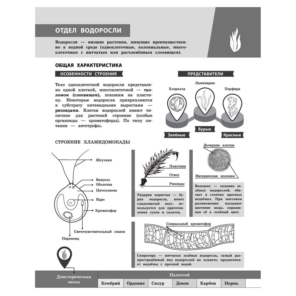 Книга "Биология в инфографике", Оксана Мазур - 11