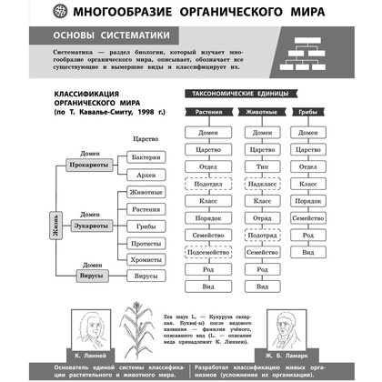 Книга "Биология в инфографике", Оксана Мазур - 4