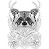 Книга "Эти милые еноты" - 2