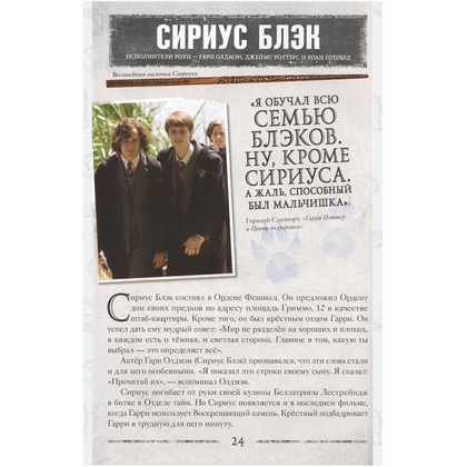 Книга "Гарри Поттер. Битва за Хогвартс (с волшебной палочкой)" - 4
