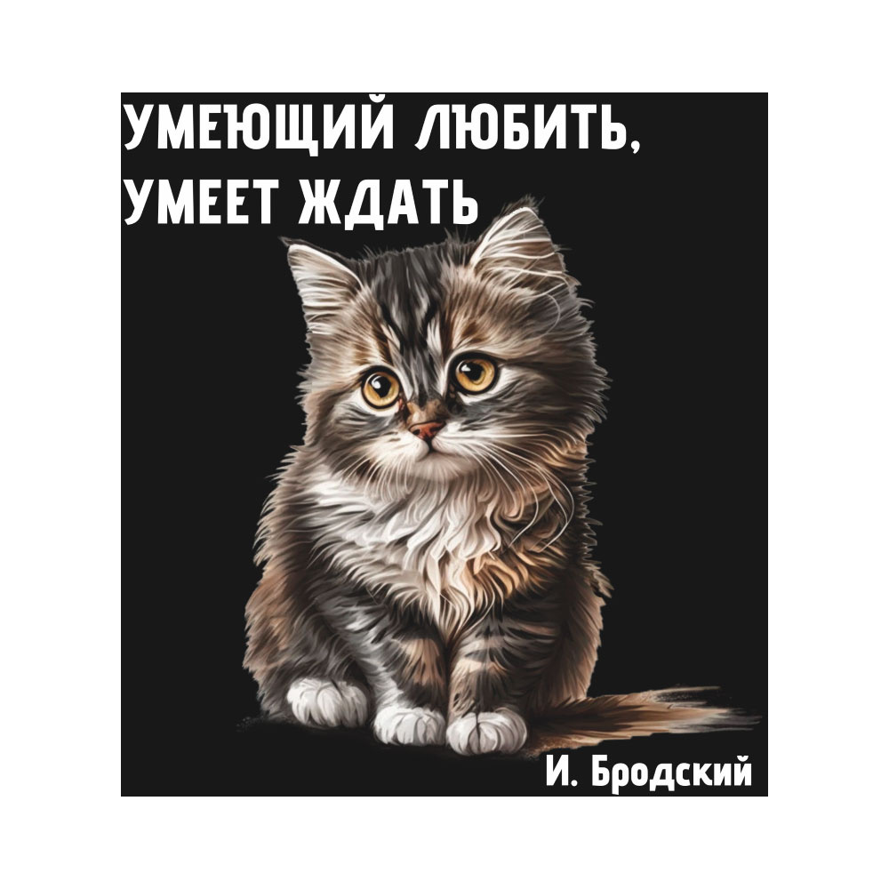 Футболка оверсайз унисекс "Умеющий любить, умеет ждать. Бродский", M-L, черный - 2