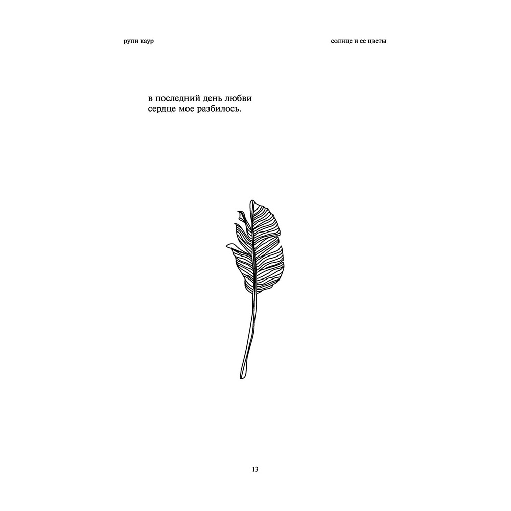 Комплект из 2-х книг "Белые стихи, покорившие мир.  Milk and honey+Sun and Her Flowers", Рупи Каур - 8