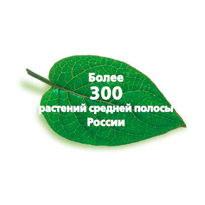 Книга "Большая иллюстрированная энциклопедия лекарственных растений", Ильина Т. - 2