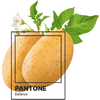 Кружка "Pantone. Belarus", керамика, 330 мл, белый, черный - 2