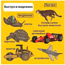 Игра настольная "Сундучок знаний "Мои первые знания"