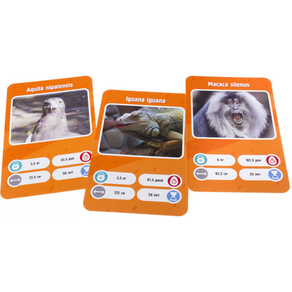 Игра настольная "Это факт! Зоопарк" - 5