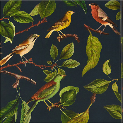 Блокнот "Птицы", 150x150 мм, 70 листов, клетка - 2