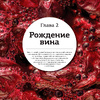 Книга "Просто о лучших винах. Новая энциклопедия" - 24