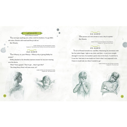Книга на английском языке "Harry Potter – A Magical Year: The Illustrations of Jim Kay", Jim Kay - 9