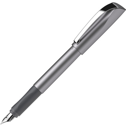 Ручка перьевая "Schneider Ceod Shiny", M, графит, патрон синий