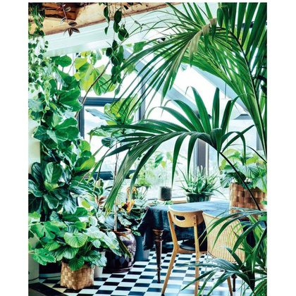 Книга "Urban Jungle. С любовью к растениям", Андерс Рёйнеберг, Эрик Шервен - 4
