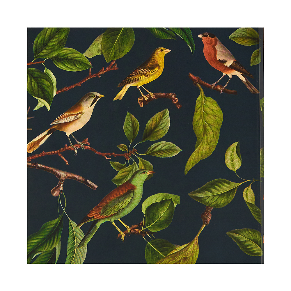 Блокнот "Птицы", 150x150 мм, 70 листов, клетка - 2