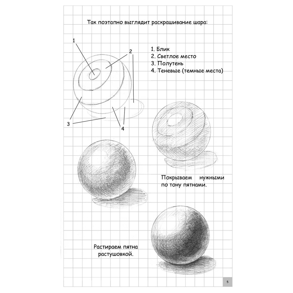 Книга "Творческий курс по рисованию. Рисуем животных!", Мистер Грей - 4