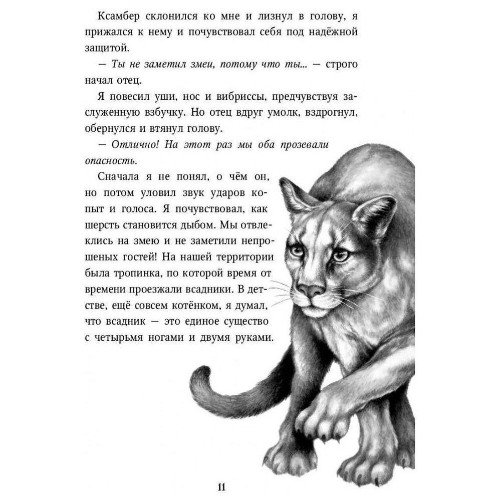 Книга "Месть пумы (#4)", Катя Брандис - 3