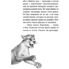 Книга "Караг и волчье испытание (#7)", Катя Брандис - 8