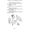 Книга "Секрет убегающей тени", Екатерина Вильмонт - 13