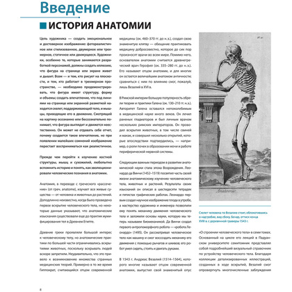 Книга "Фигура человека для художника. Большая книга анатомии, референсов и художественных поз" - 7