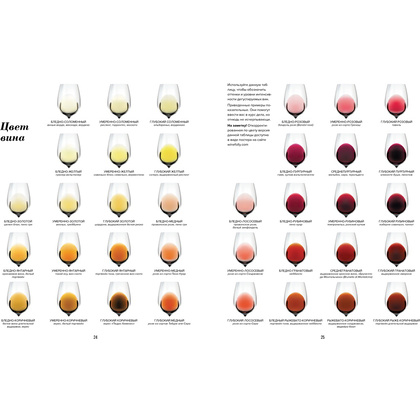 Книга "Wine Folly. Издание Магнум, детализированное", Мадлен Пакетт, Джастин Хэммек - 5
