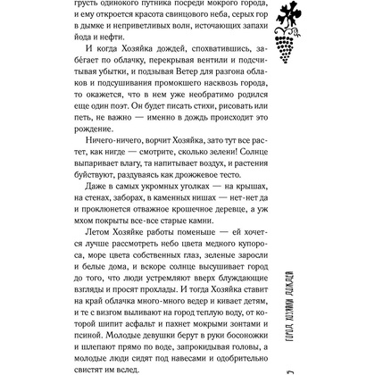 Книга "Лето, бабушка и я", Тинатин Мжаванадзе - 5