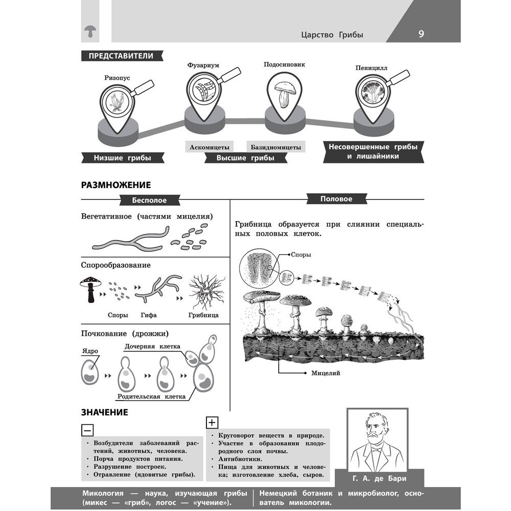 Книга "Биология в инфографике", Оксана Мазур - 8