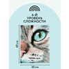Картина по номерам "Кошачий взгляд" - 3