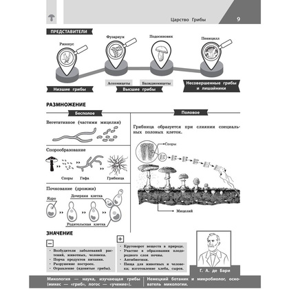 Книга "Биология в инфографике", Оксана Мазур - 8