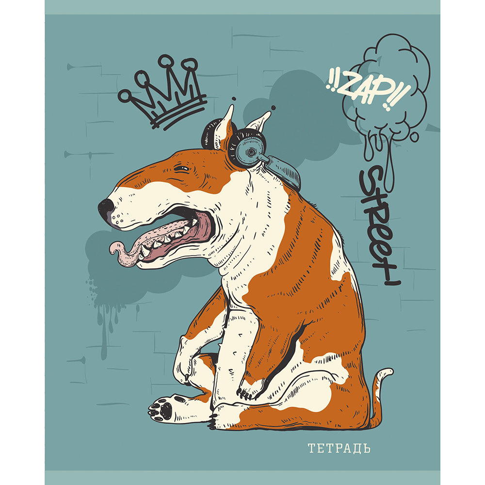 Тетрадь "Стрит микс", А5, 48 листов, клетка, ассорти - 5