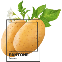 Кружка "Pantone. Belarus", керамика, 330 мл, белый, черный
