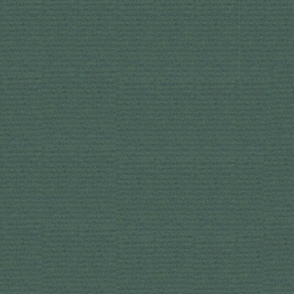 Бумага декоративная в рулоне "Coloured Kraft", 3x0,7 м, 65 г/м2, светло-зеленый - 10