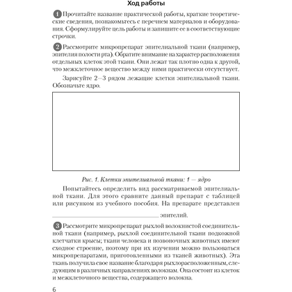 Биология. 9 класс. Тетрадь для лабораторных и практических работ, демонстрационных опытов, Лисов Н.Д., Аверсэв - 5