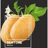 Блокнот "Pantone.Belarus", А5, 80 листов, нелинованный, черный - 3