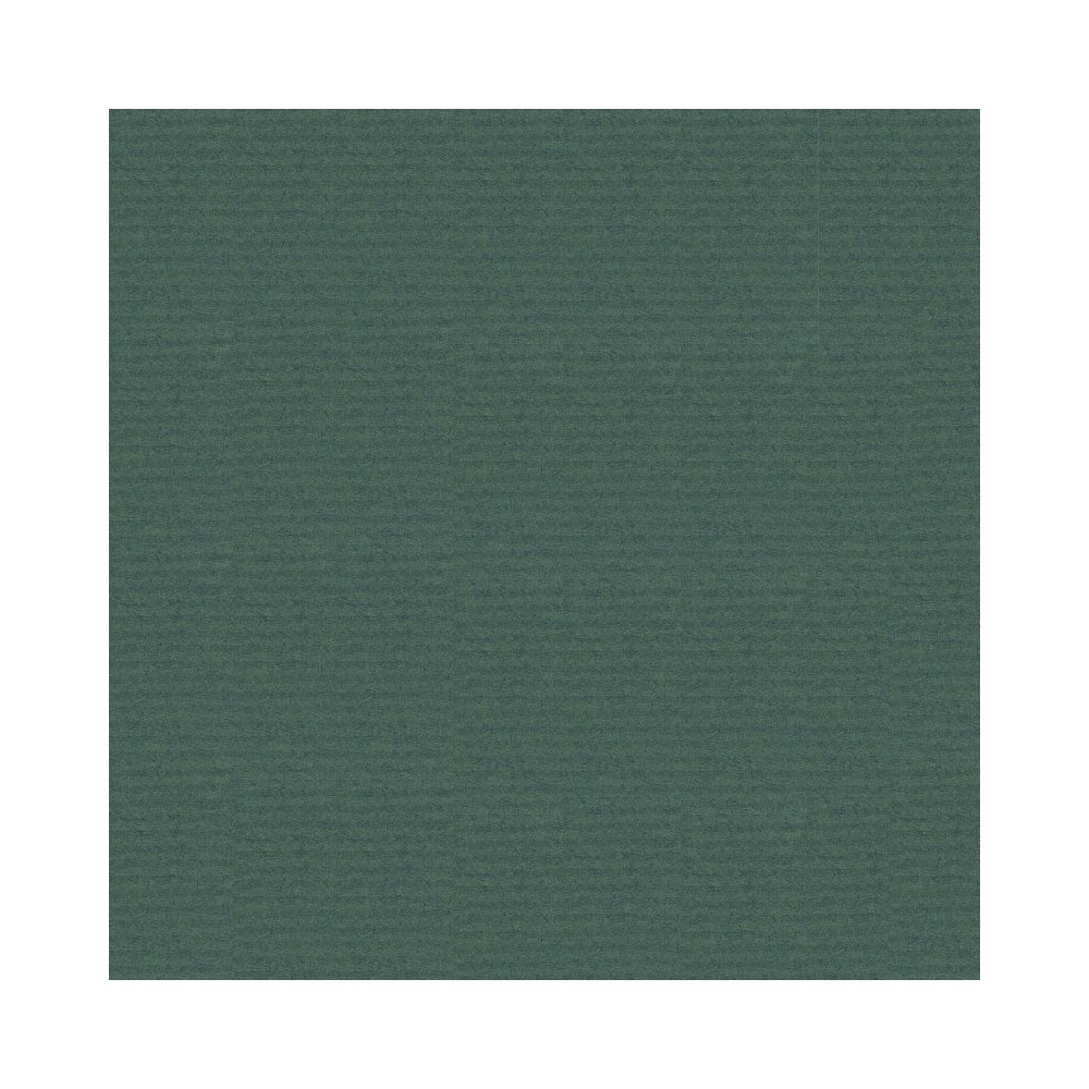 Бумага декоративная в рулоне "Coloured Kraft", 3x0,7 м, 65 г/м2, светло-зеленый - 10