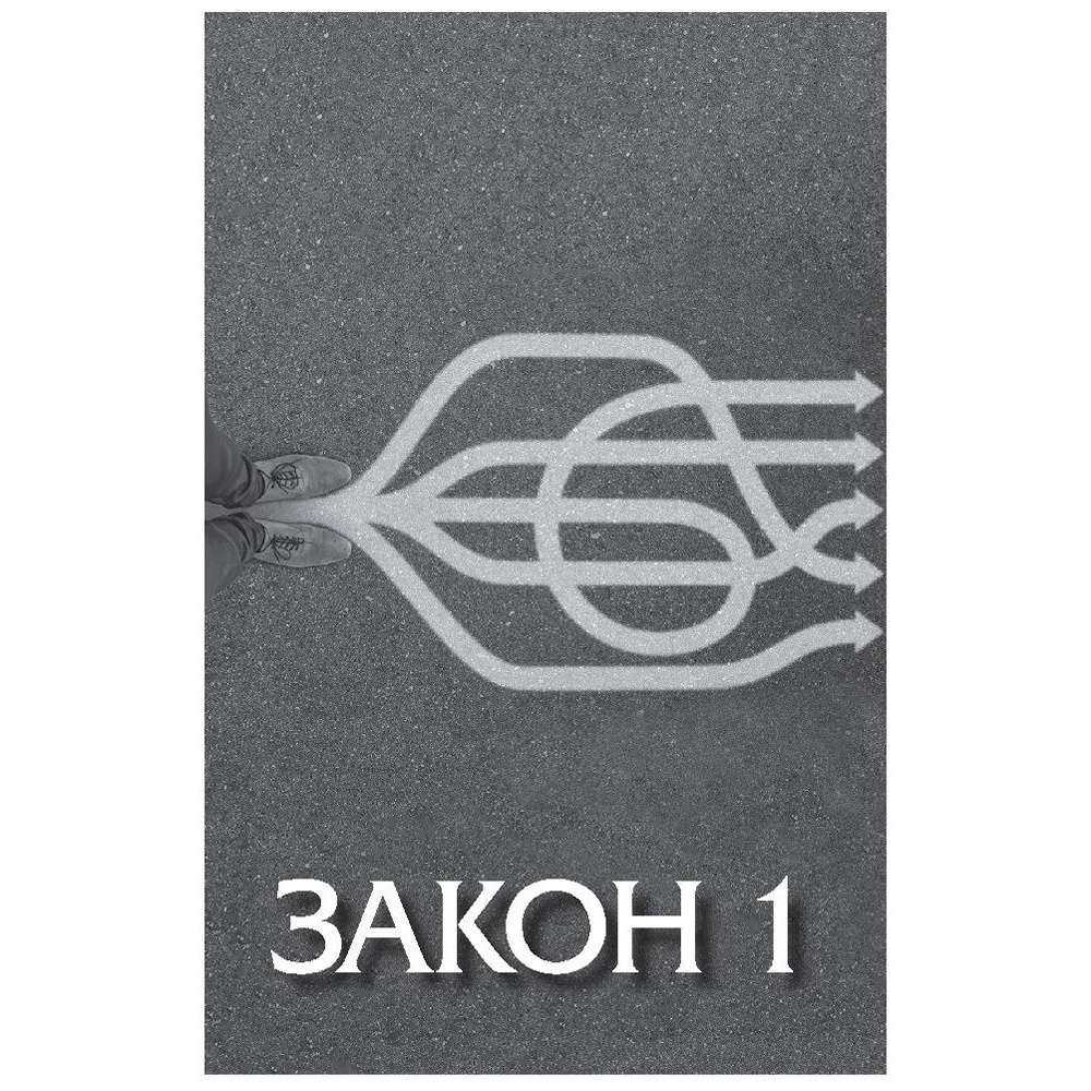 Книга "Законы победителей", Бодо Шефер - 7