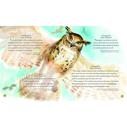 Книга на английском языке "Harry Potter – A Magical Year: The Illustrations of Jim Kay", Jim Kay - 10